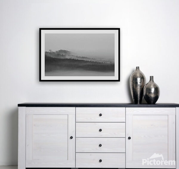 Photograph of the Foggy Forest - Interior art print visualisation