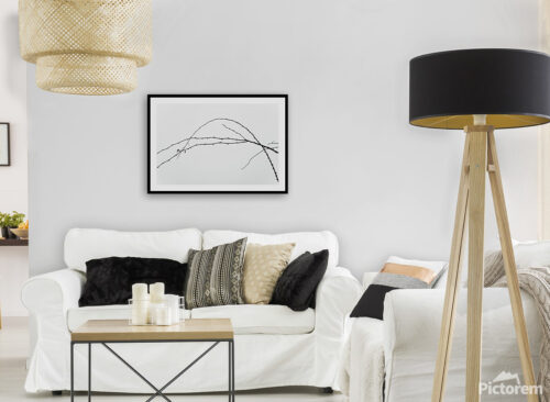 Interior art print visualisation of Minimalist photography print - Rosehip Stems - Abstract