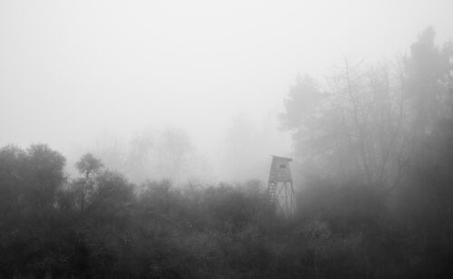 High Seat for Hunting - Fine Art Print, Forest, High Seat for Hunting – Fine Art Print