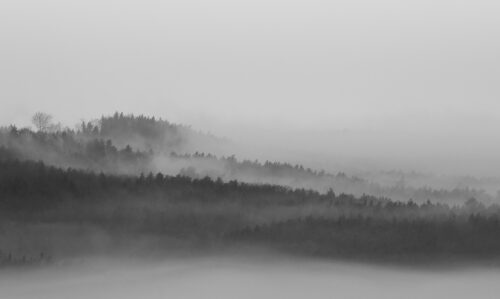 The Foggy Forest – Fine Art Photography Print - Art print by Martin Vorel
