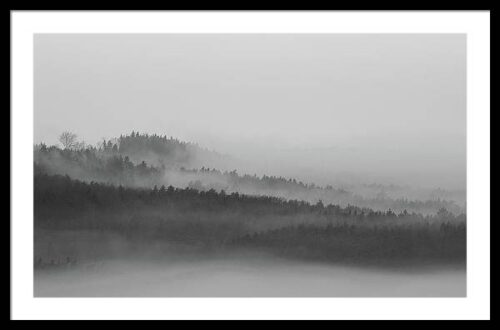 The Foggy Forest - Framed Photography Print, Framed Landscapes, The Foggy Forest – Framed Photography Print