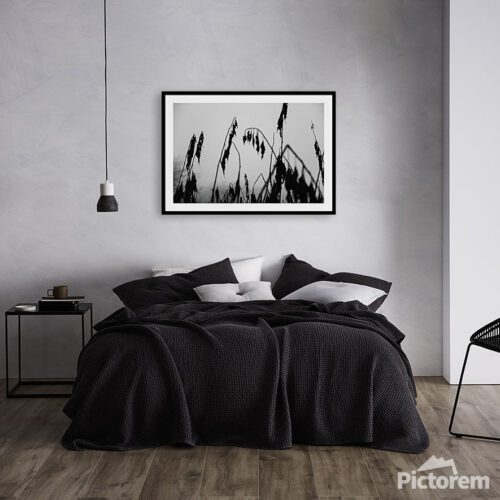 Fine Art Photography Imeprmanence II - On Wall Visualisation - Abstract