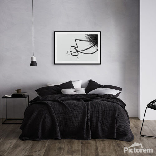 Dead Flower V. - Wall Art Visualisation - Abstract