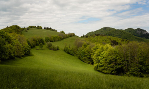 Green Carpathian Hills - Landscape Photography Print, Trees, Green Carpathian Hills – Landscape Photography Print