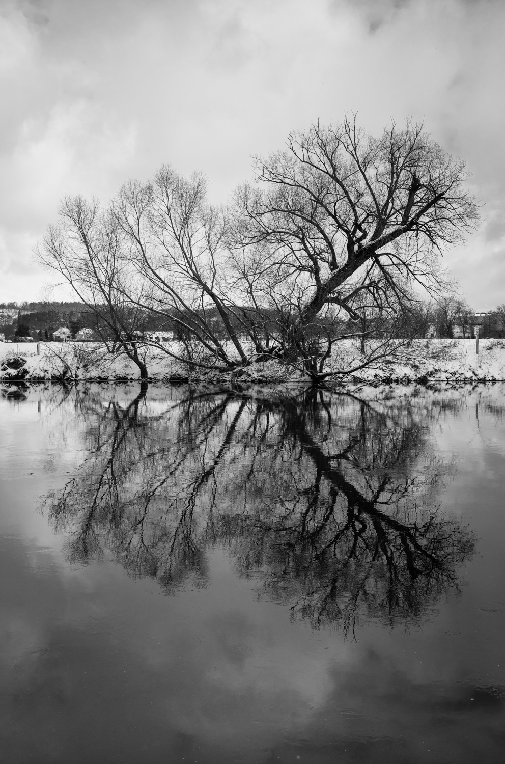 Tree reflection in the river - B&W Photography Print | Martin Vorel ...