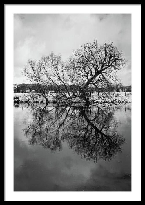 The Reflection of a Tree in Water in the shape of butterfly wings - Framed Print, Framed Photography, The Reflection of a Tree in Water in the shape of butterfly wings – Framed Print