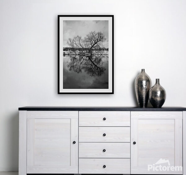 The tree in the water Print - Wall Art Visualisation