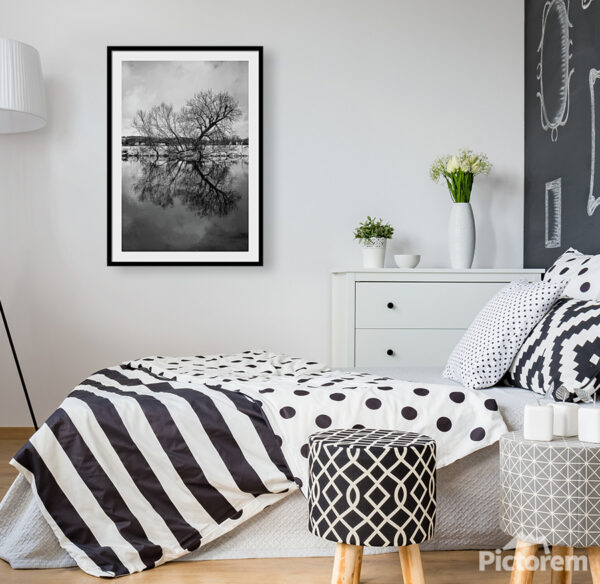 The tree in the water Print - Wall Art Visualisation
