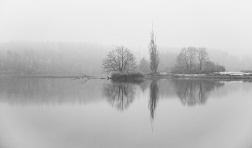 Tree Reflection On Winter Lake - Wall Art Print, Black & White, Tree Reflection On Winter Lake – Wall Art Print