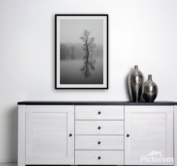 Visualization of a framed black and white photograph "Tree in Water" on an interior wall.