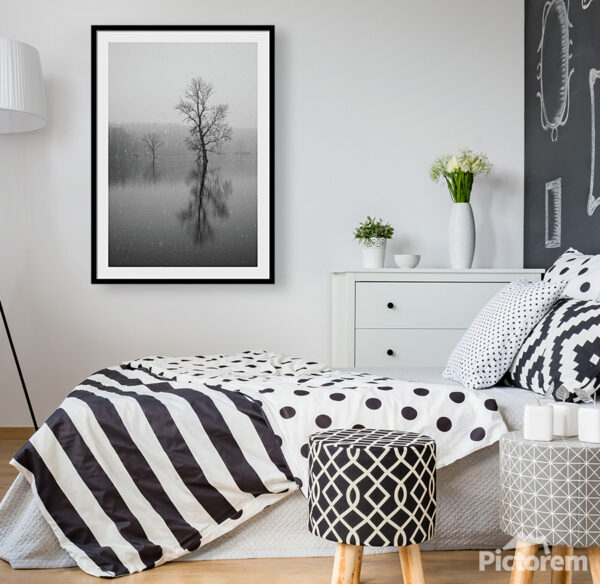 Visualization of a framed black and white photograph "Tree in Water" on an interior wall.