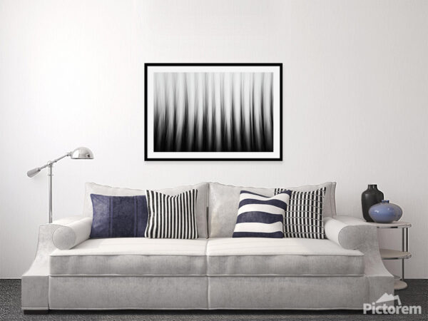 Poplars in motion - Abstract nature photography art print - Interior Visualisation