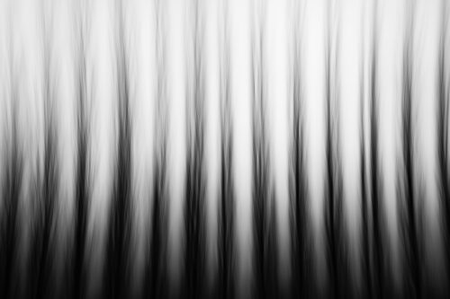 Poplars in motion – Abstract nature photography art print - Art print by Martin Vorel