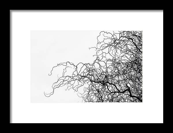 Abstract nature photography framed print