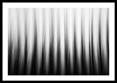 Poplars in motion - Abstract nature photography framed print, Framed Photography, Poplars in motion – Abstract nature photography framed print