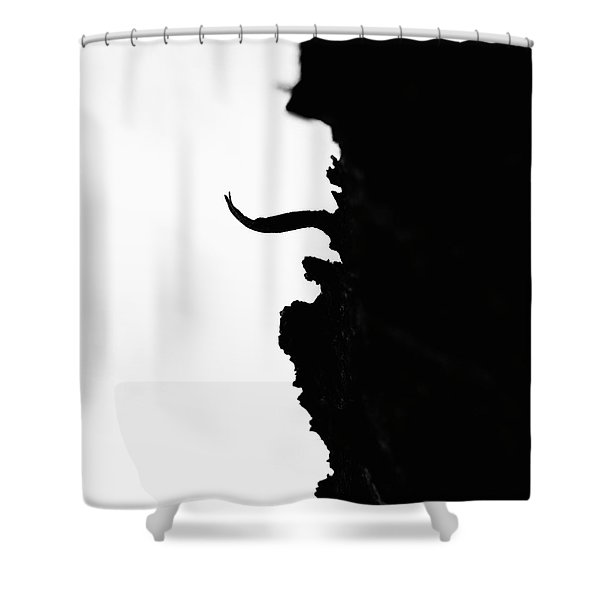Vostolaiv Abstract Shower Curtain, Black and Red Mushroom Shower Curtain,  Abstract Modern Shower Cur…See more Vostolaiv Abstract Shower Curtain,  Black