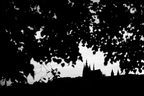 Prague Castle silhouette - Fine art photography print, Trees, Prague Castle silhouette – Fine art photography print