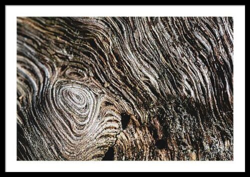 Abstract Nature - Framed photography print, Framed Abstract, Abstract Nature – Framed photography print