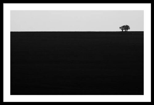 Lonely tree - Minimalist landscape photography print, Framed Minimalist, Lonely tree – Minimalist landscape photography print