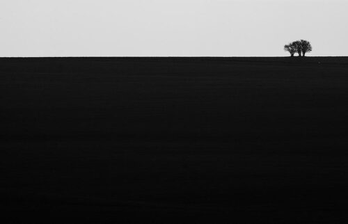 Lonely tree - Minimalist landscape photography, Black & White, Lonely tree – Minimalist landscape photography