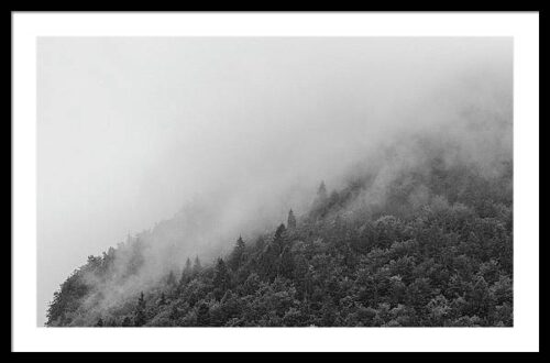 Misty forest - Fine Art Photography Print, Framed Landscapes, Misty forest – Fine Art Photography Print