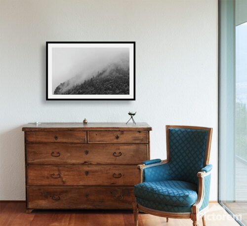 Misty forest - Visualization in the interior - Abstract