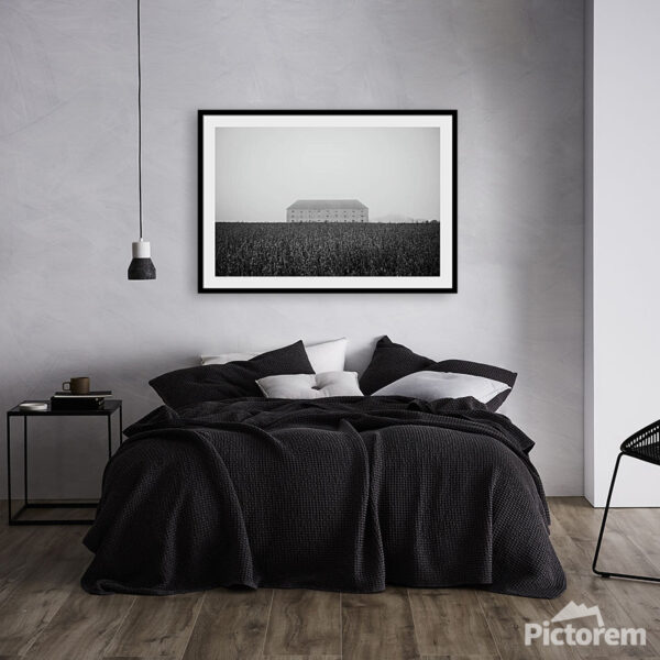 Moody photography on the wall of a living room - visualization