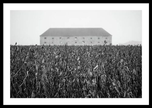 Old barn in the field - Framed photography print, Framed Architectural, Old barn in the field – Framed photography print