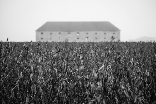 Old house in the field - BW fine art photography for sale, Black & White, Old house in the field – BW fine art photography for sale