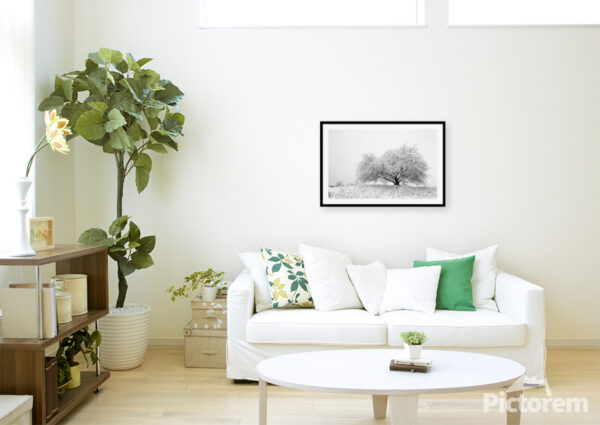 A Snowy Tree in a Winter Landscape - Visualization of photography in the interior