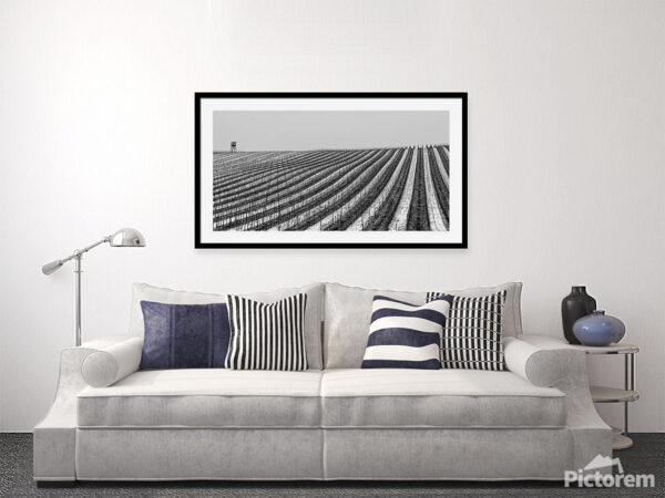 Vineyard in winter - Visualization of photography in the interior