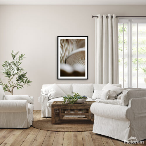 Mushrooms Up Close Fine Art Photography Visualization in the interior - Abstract