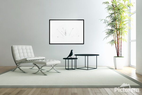 Plant in the snow - Fine Art Photography Visualization in the interior