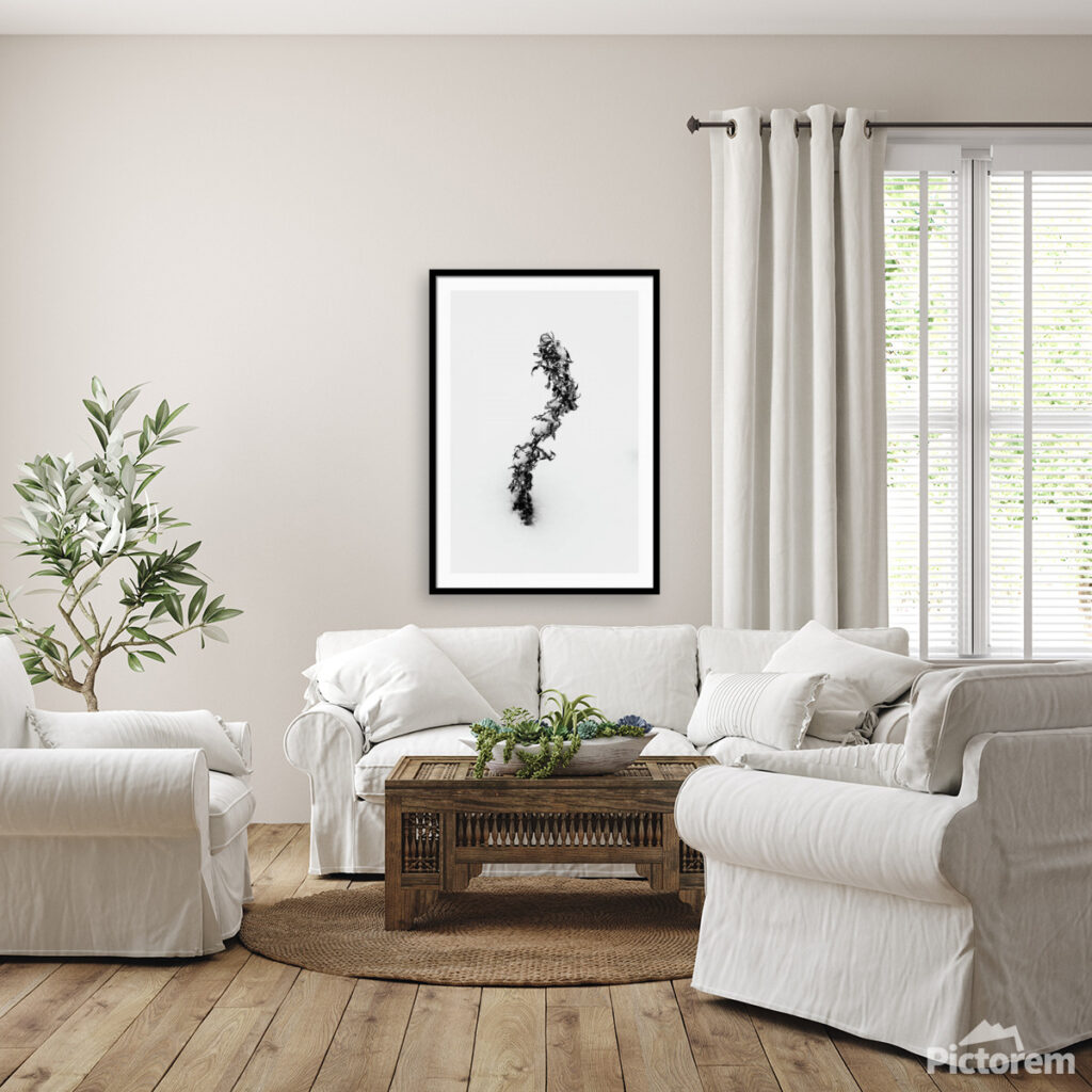 "S" shaped flower - Fine Art Photography Visualization in the interior