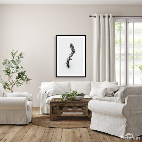 "S" shaped flower - Fine Art Photography Visualization in the interior