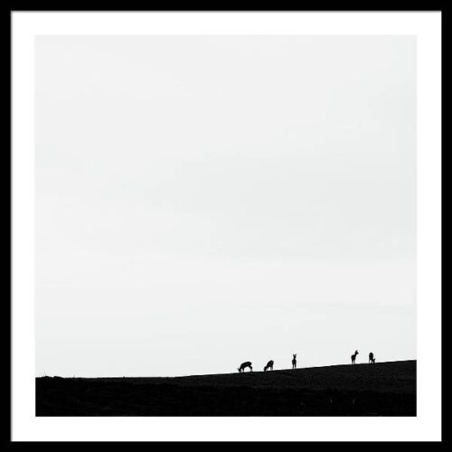 Deer Silhouette - Minimalist photography framed print, Framed Landscapes, Deer Silhouette – Minimalist photography framed print