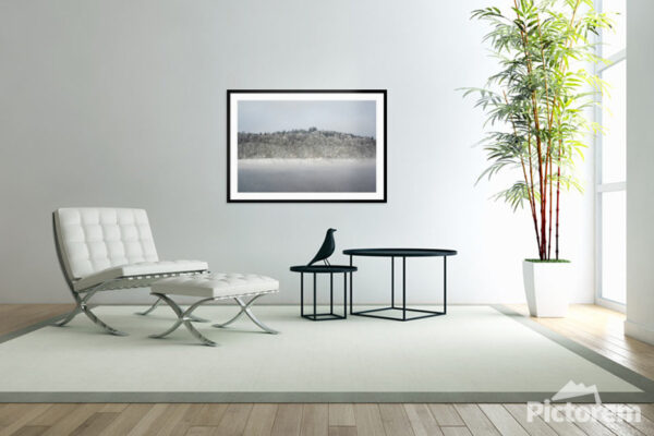 Frozen Forest by the Lake - Fine Art Photography Visualization in the interior