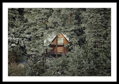 A Mysterious Cabin Hidden in the Woods Framed Print, Framed Architectural, A Mysterious Cabin Hidden in the Woods Framed Print