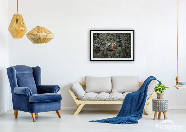 A Mysterious Cabin Hidden in the Woods - Fine Art Photography Visualization in the interior