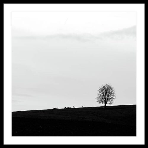 Silhouette of a Lonely Tree and Roe Deer - Framed Photography Print, Framed Minimalist, Silhouette of a Lonely Tree and Roe Deer – Framed Photography Print