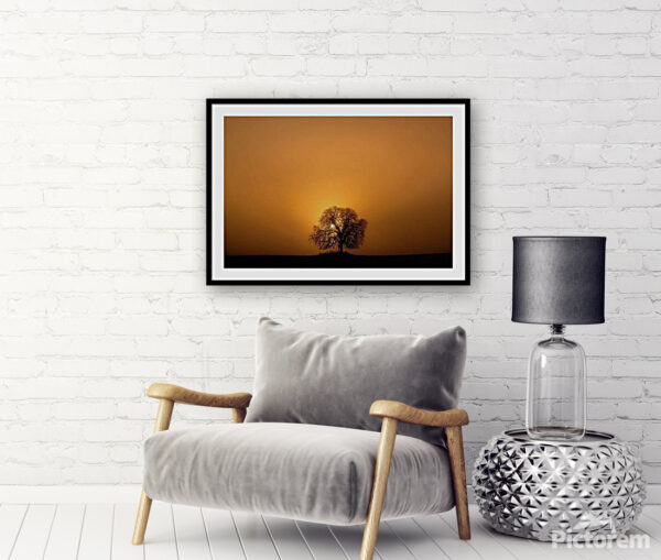 Silhouette of a tree and the rising sun - Fine Art Photography Visualization in the interior