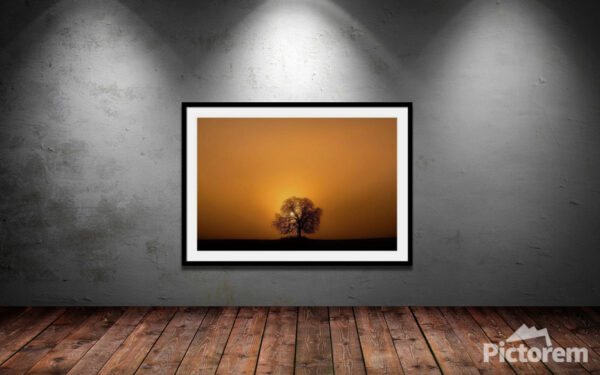 Silhouette of a tree and the rising sun - Fine Art Photography Visualization in the interior