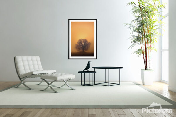 A Golden Hour Three Silhouette - Fine Art Photography Visualization in the interior