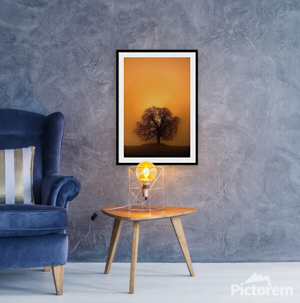 A Golden Hour Three Silhouette - Fine Art Photography Visualization in the interior