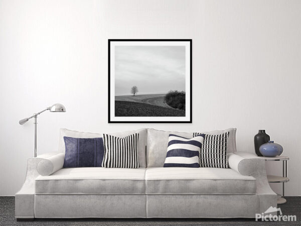 A Tree Stands Alone in the Landscape - Fine Art Photography Visualization in the interior