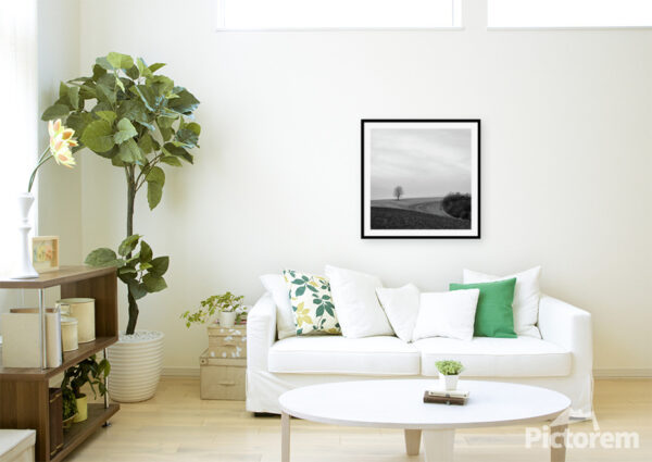 A Tree Stands Alone in the Landscape - Fine Art Photography Visualization in the interior