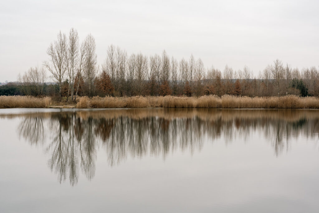 Trees reflecting in the water - Fine art photography print