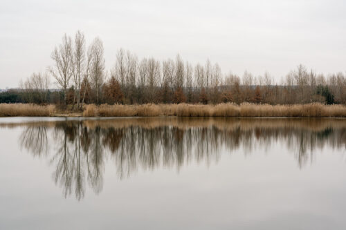Trees reflecting in the water – Fine art photography print - Art print by Martin Vorel
