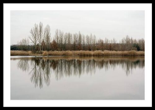 Trees reflecting in the water - Framed print, Framed Landscapes, Trees reflecting in the water – Framed print