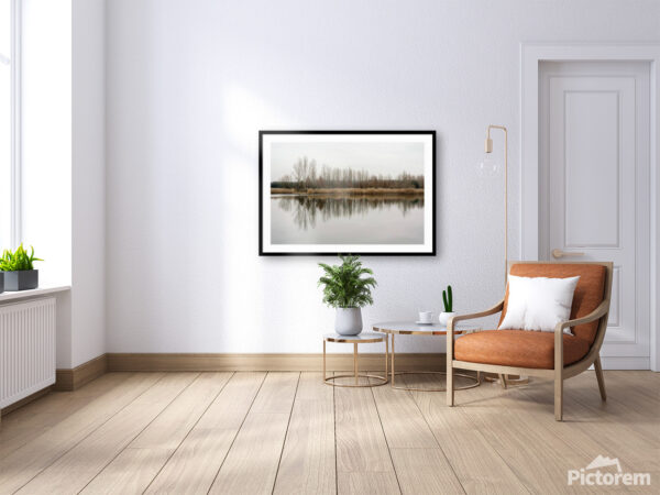 Trees reflecting in the water - Fine Art Photography Visualization in the interior